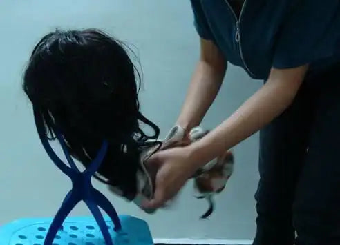 Human Hair Wig cleaning and maintenance