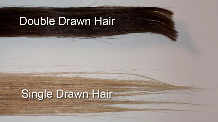 Single Drawn VS Double Drawn Hair, What's The Difference?