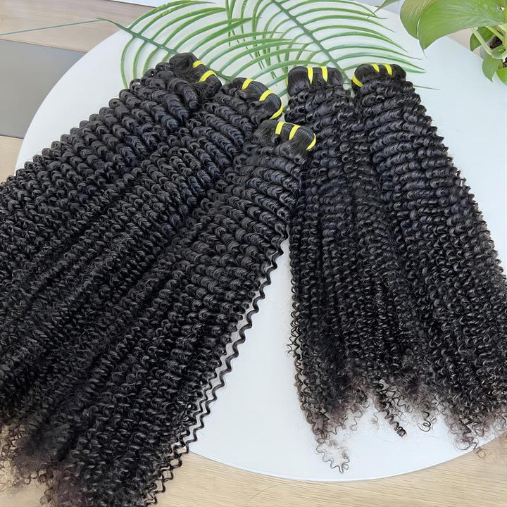 Clearance | 15A Curly Wave Double Drawn Raw Hair Bundles, Free 5x5 Lace Closure