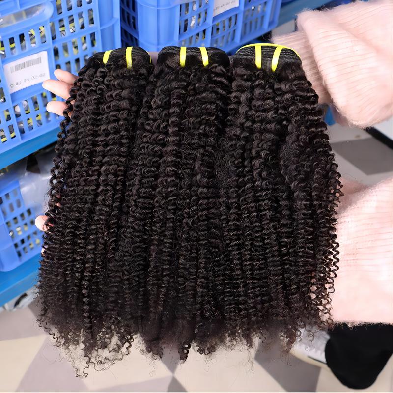 Clearance | 15A Curly Wave Double Drawn Raw Hair Bundles, Free 5x5 Lace Closure