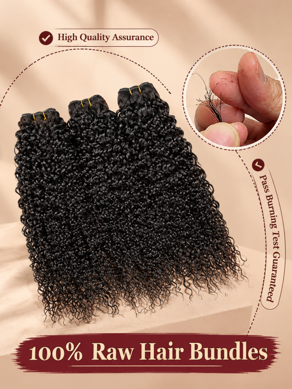 Curly Wave Bundles 100% Virgin Human Hair Weave With 2x4 Lace Closure