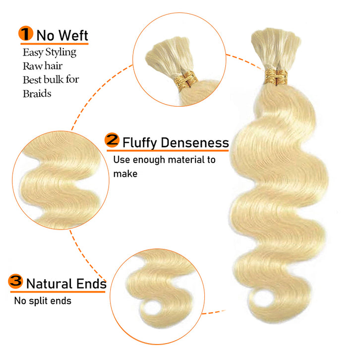 Details of CheetahBeauty #613 Bulk Human Hair