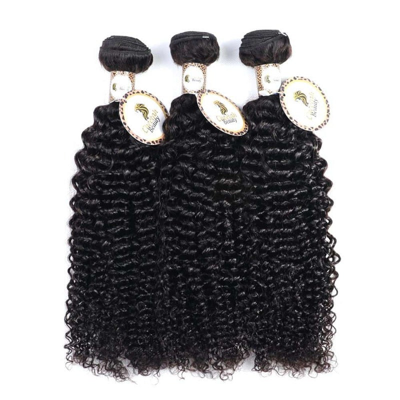 10A Curly Wave 3 Bundles 100% Cuticle Aligned Virgin Human Hair Extension